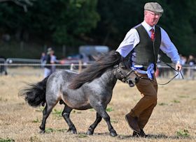 Balmedie Prince Charlie